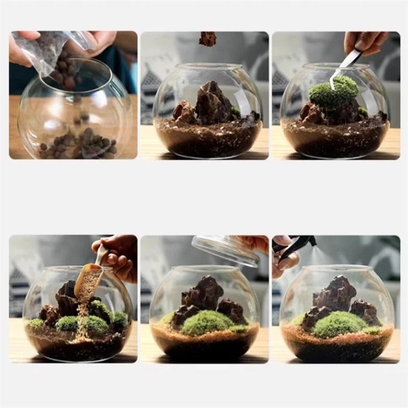 Micro Landscape Moss Bryophyte Ball Terrarium Glass Vase Decoration 4