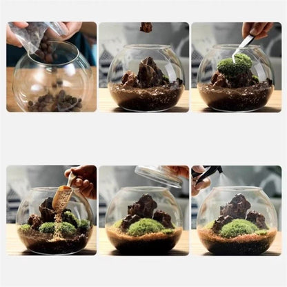 Micro Landscape Moss Bryophyte Ball Terrarium Glass Vase Decoration 4