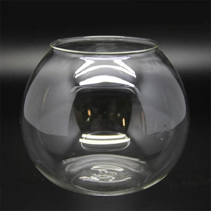 Micro Landscape Moss Bryophyte Ball Terrarium Glass Vase Decoration 6