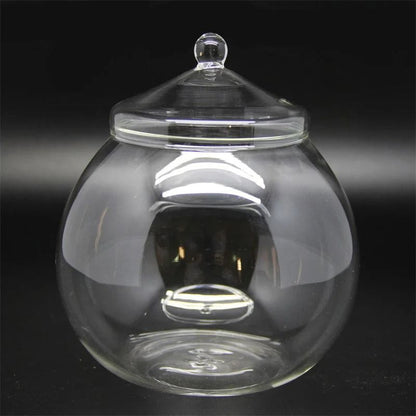 Micro Landscape Moss Bryophyte Ball Terrarium Glass Vase Decoration 7