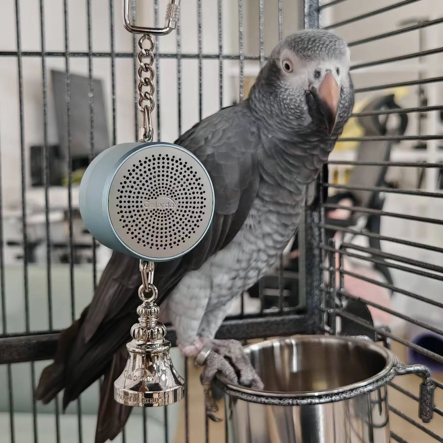 Interactive Parrot Training Toy – Voice Recording & Playback Bird Talking Coach with Chewing Bell