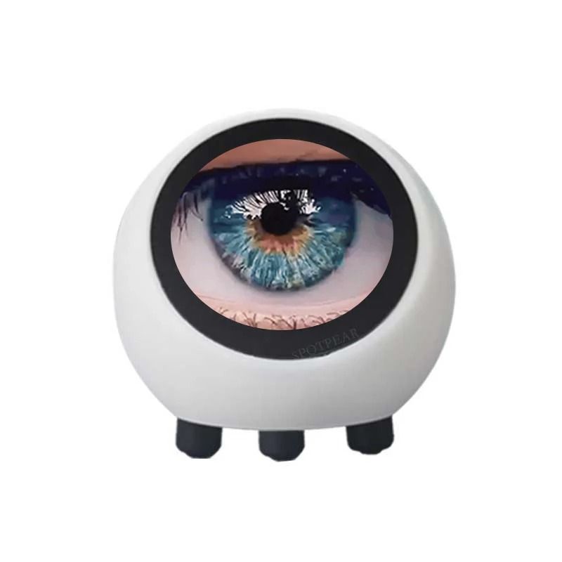 AI Voice Chat Robot Ball With LCD Display And ESP32S3 WiFi Development Board 2