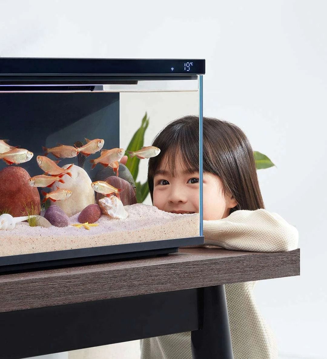 Smart Desktop Fish Tank With Remote Feeding And LED Lighting 1