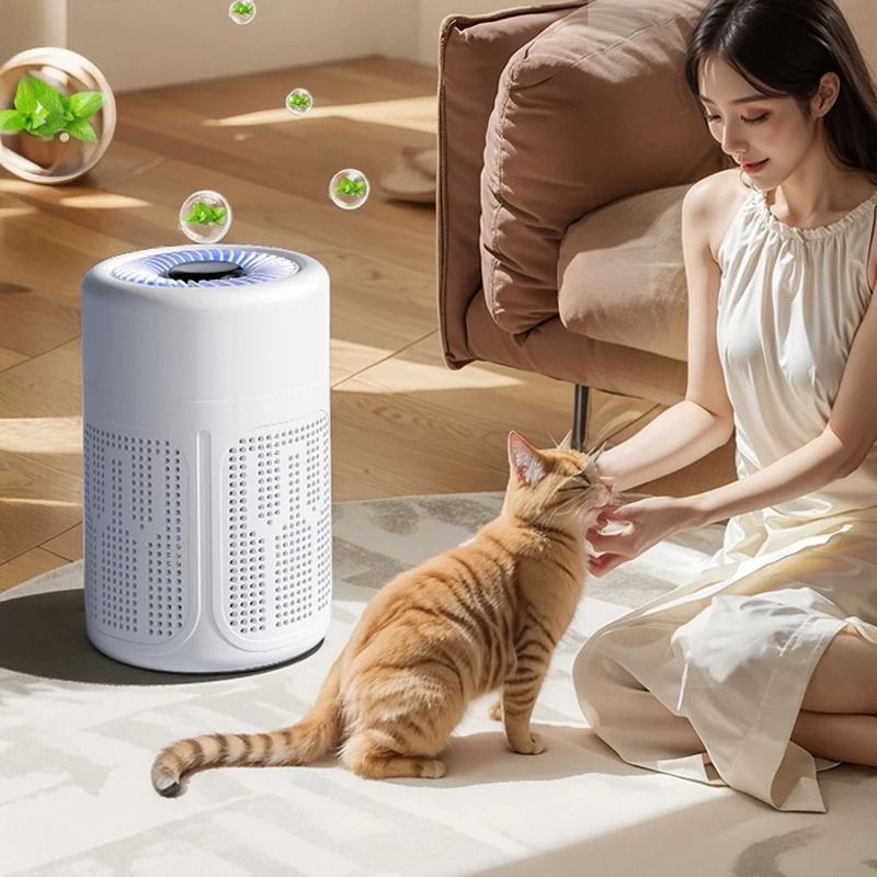 Mini Desktop Air Purifier HEPA Filter With Negative Ion For Odors Smoke And Dust 4
