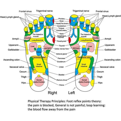 Acupressure Foot Reflexology Massage Pad 4
