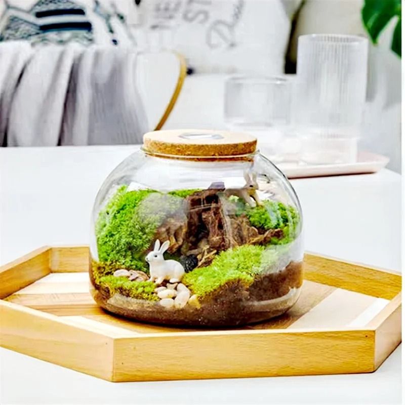 Micro Landscape Moss Glass Terrarium With Optional Cork Lid 3
