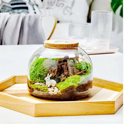 Micro Landscape Moss Glass Terrarium With Optional Cork Lid 3