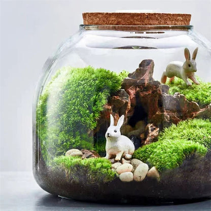 Micro Landscape Moss Glass Terrarium With Optional Cork Lid 4