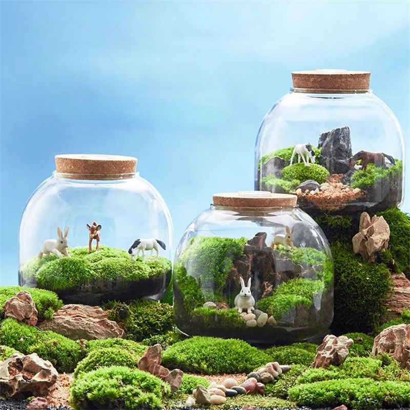 Micro Landscape Moss Glass Terrarium With Optional Cork Lid 5