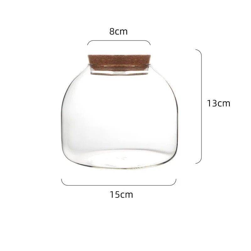Micro Landscape Moss Glass Terrarium With Optional Cork Lid 7