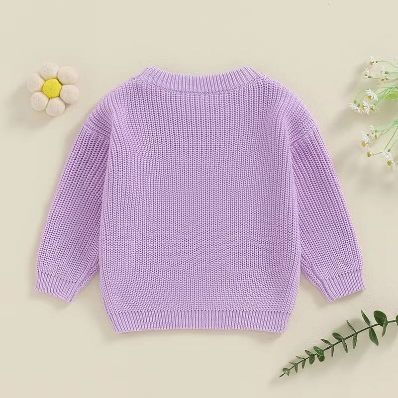 Big Sister  Little Sister Matching Embroidered Knit Sweater Set  Warm FallWinter Toddler Sweatshirt 2