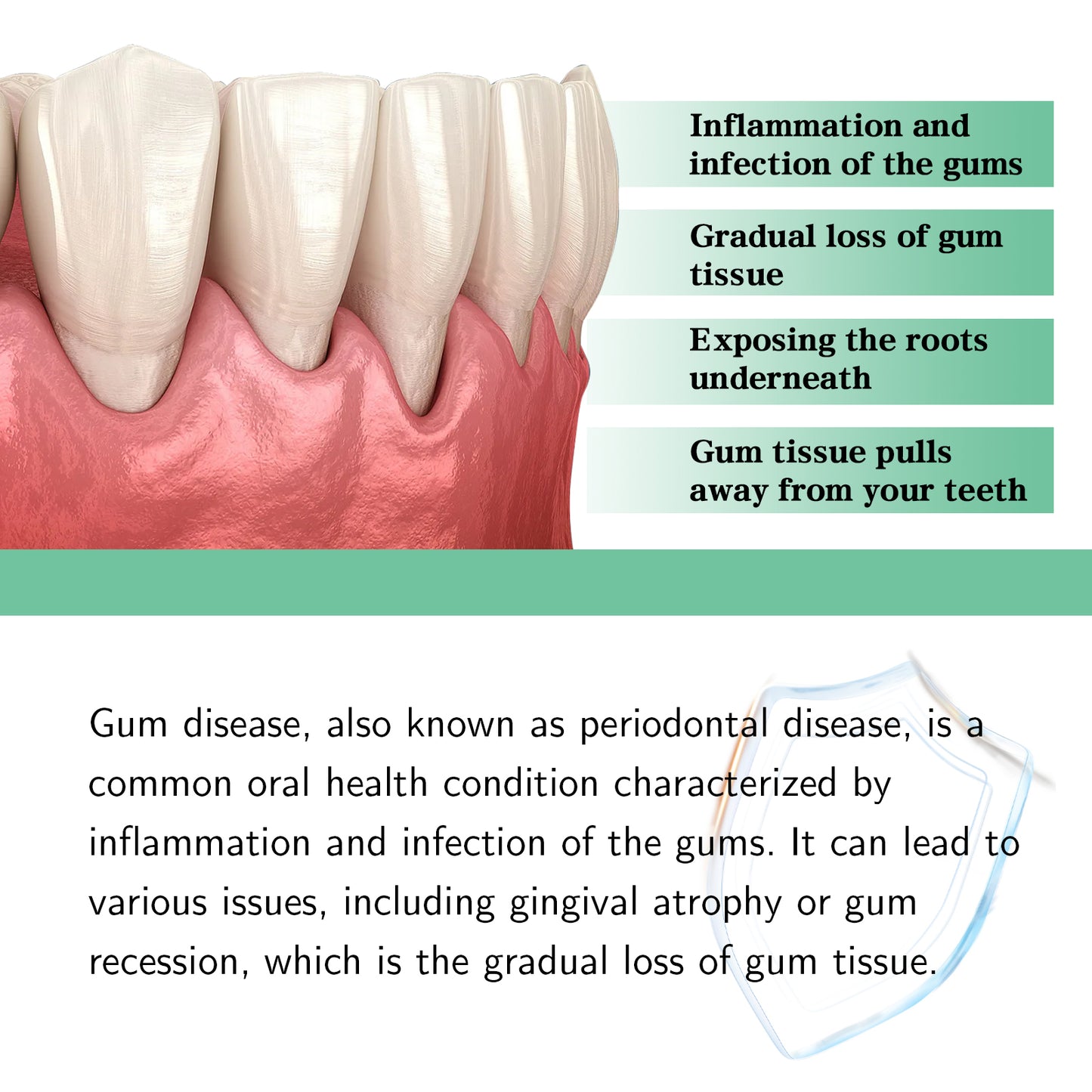 Advanced Gum Repair Serum Drops, Relieve Receding Gums, Gingival Swelling & Promote Oral Periodontal Hygiene, 30ml