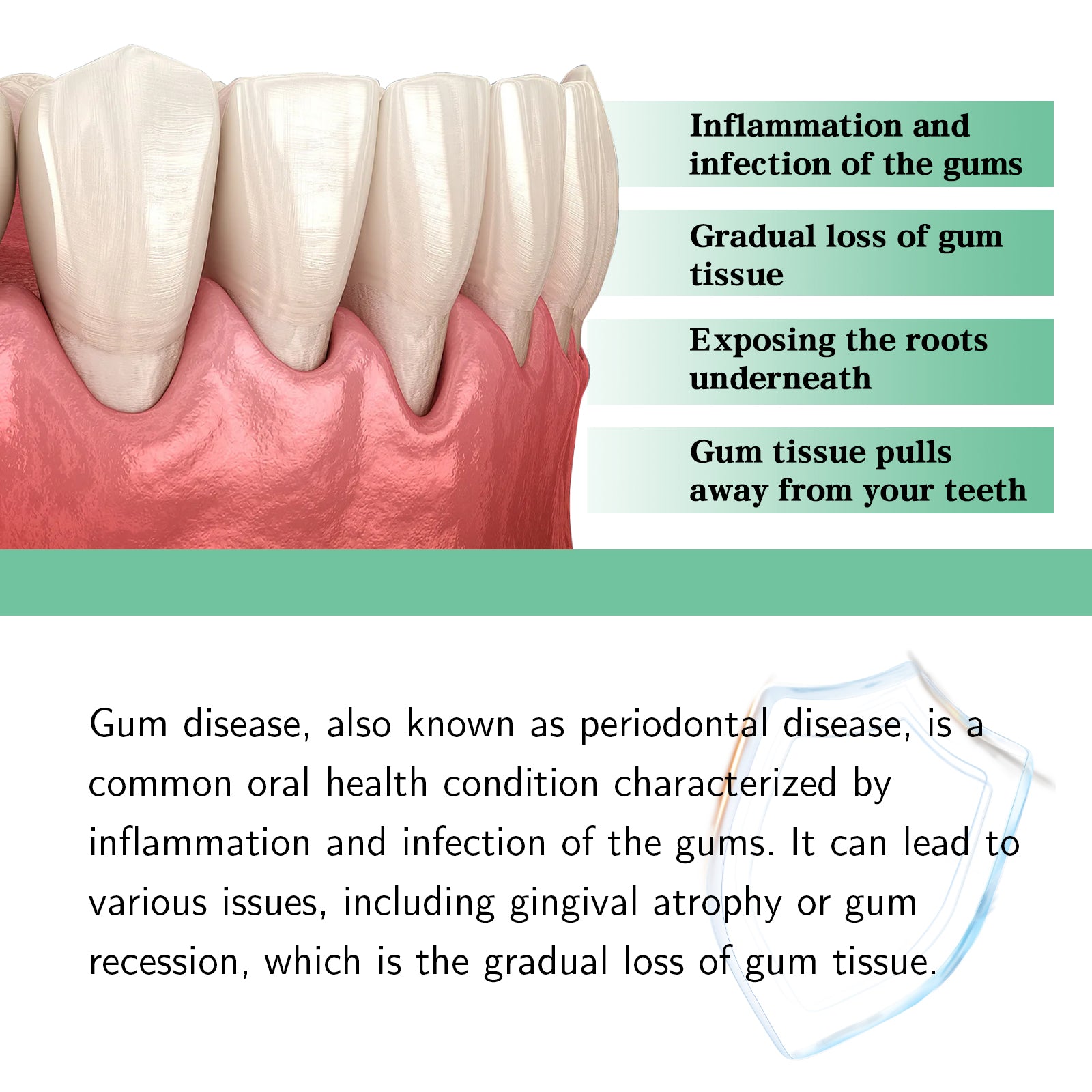 Advanced Gum Repair Serum Drops, Relieve Receding Gums, Gingival Swelling & Promote Oral Periodontal Hygiene, 30ml