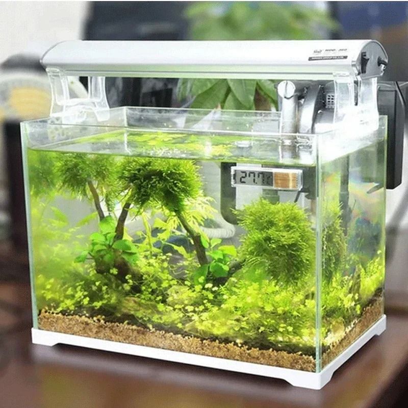 Aquarium Digital LCD Thermometer For Fish Tank Temperature Measurement 2