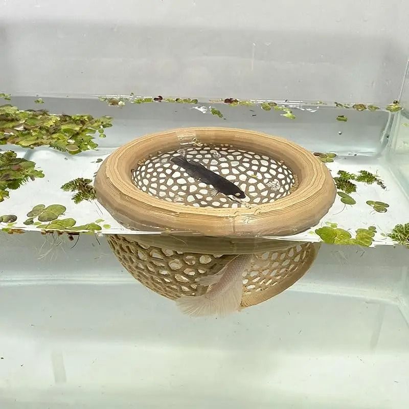 Aquarium Floating Cave And Feeding Ring 3in1 Shelter For Betta And Shrimp 10