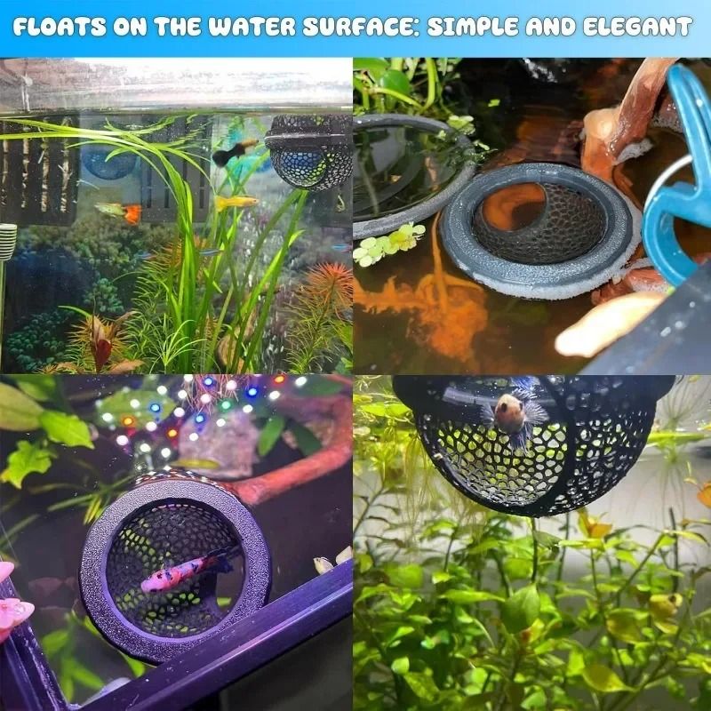 Aquarium Floating Cave And Feeding Ring 3in1 Shelter For Betta And Shrimp 4