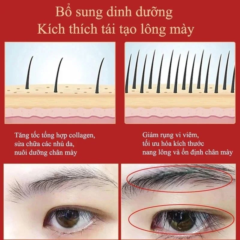 Eyebrow Growth Serum Eyelash Enhancer Hair Loss Prevention Treatment 3