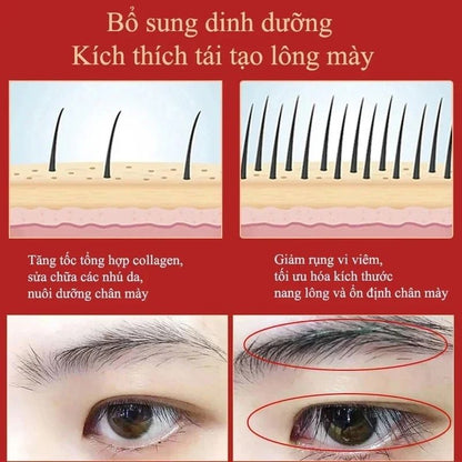 Eyebrow Growth Serum Eyelash Enhancer Hair Loss Prevention Treatment 3