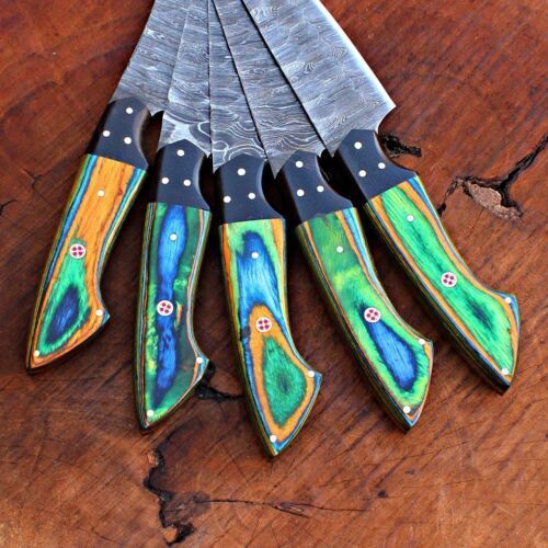 Handmade Damascus Steel Chef Knives Kitchen Set With Leather Bag  Full Tang Blades 1
