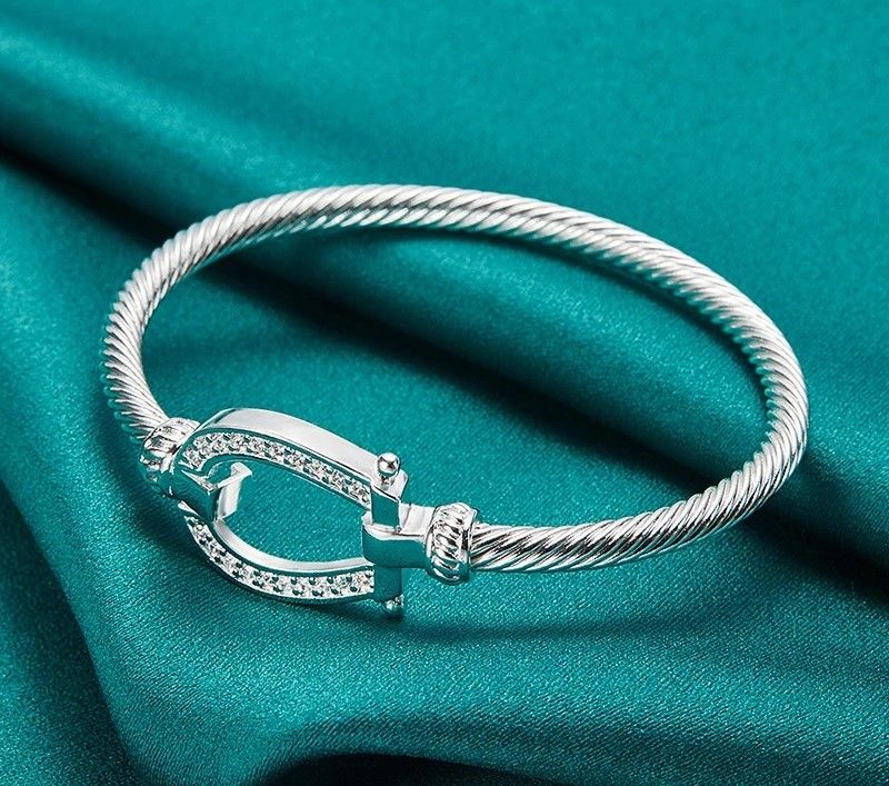 925 Sterling Silver Rope Bangle 2