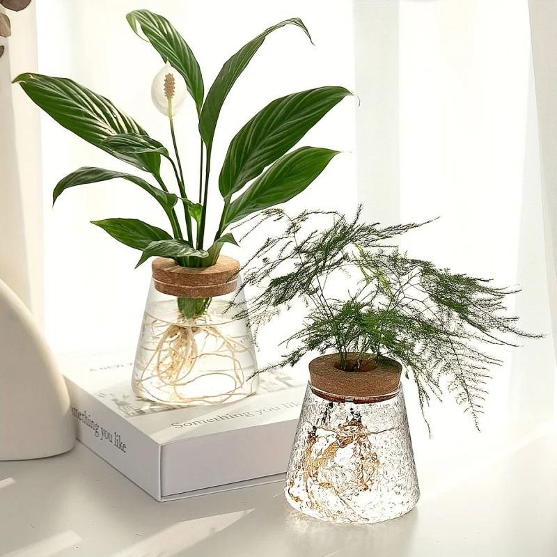Glass Planter Propagation Station Vase Rack Tabletop Hydroponic Plants Decoration