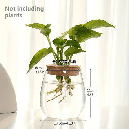 Glass Planter Propagation Station Vase Rack Tabletop Hydroponic Plants Decoration 12
