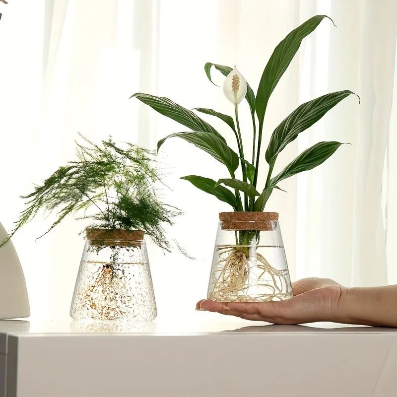 Glass Planter Propagation Station Vase Rack Tabletop Hydroponic Plants Decoration 2