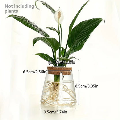 Glass Planter Propagation Station Vase Rack Tabletop Hydroponic Plants Decoration 6