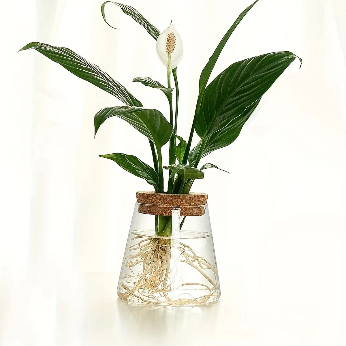 Glass Planter Propagation Station Vase Rack Tabletop Hydroponic Plants Decoration 8
