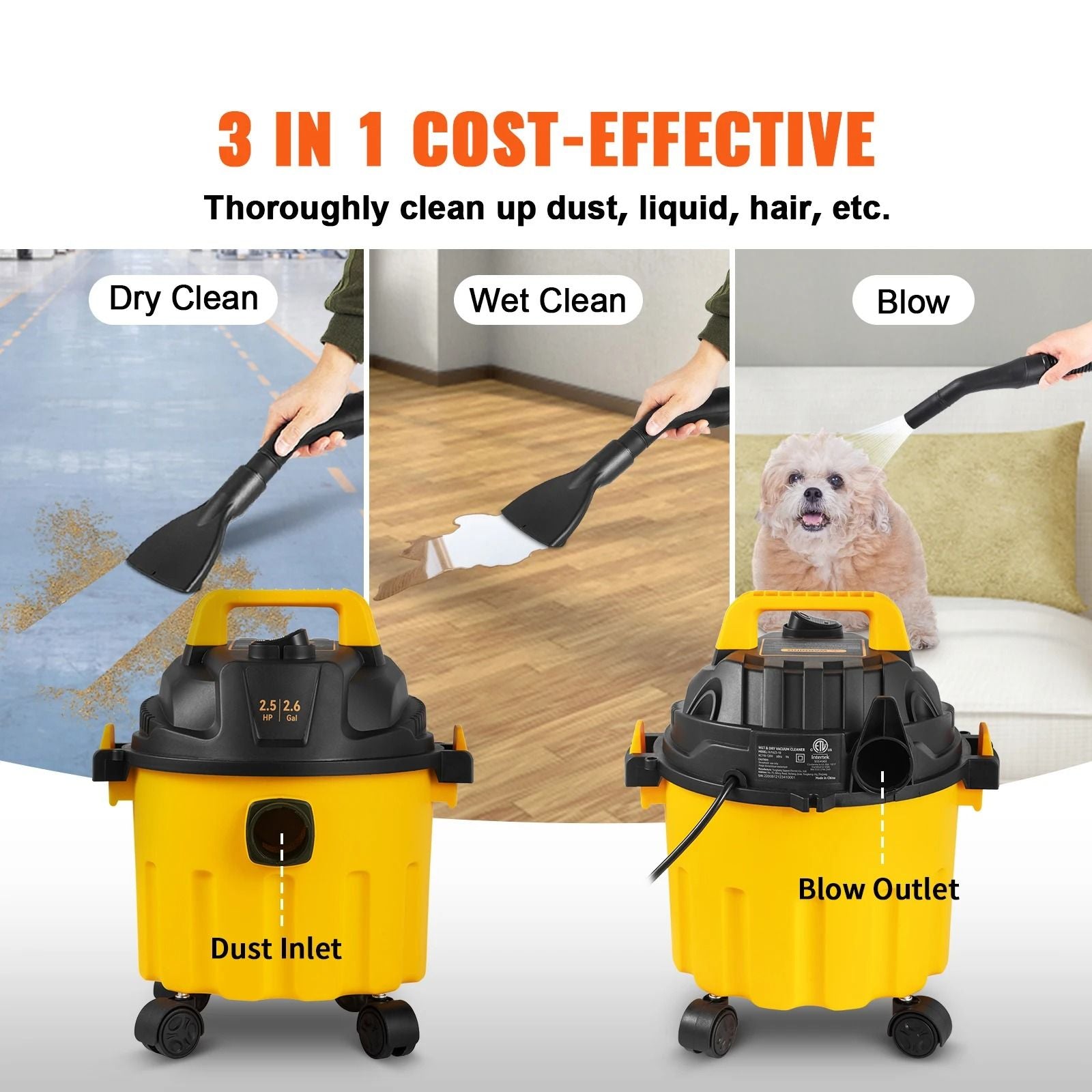 Portable Wet And Dry Vaccum Cleaner With Blower Function 2