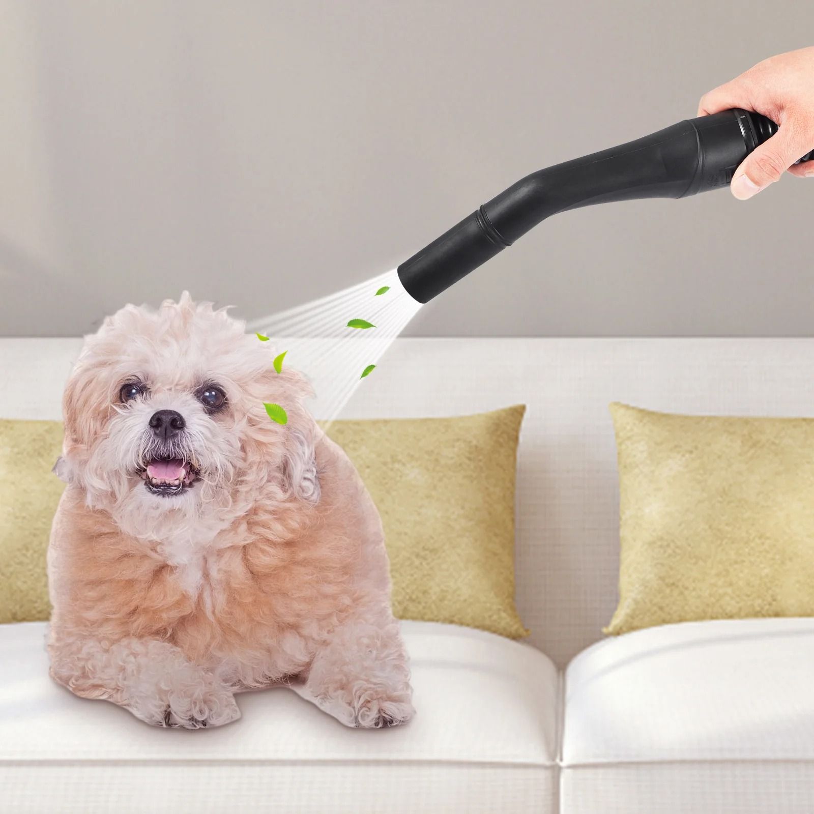 Portable Wet And Dry Vaccum Cleaner With Blower Function 3
