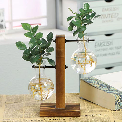 Creative Glass Bulb Vase With Wooden Stand  Hydroponic Plant Container For Home Tabletop Decor 1