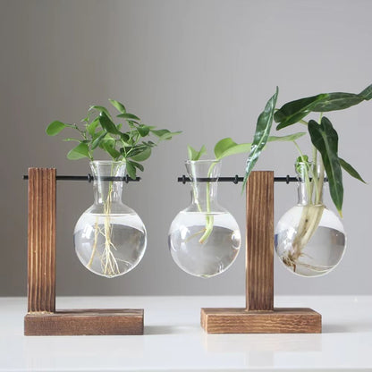 Creative Glass Bulb Vase With Wooden Stand  Hydroponic Plant Container For Home Tabletop Decor 2