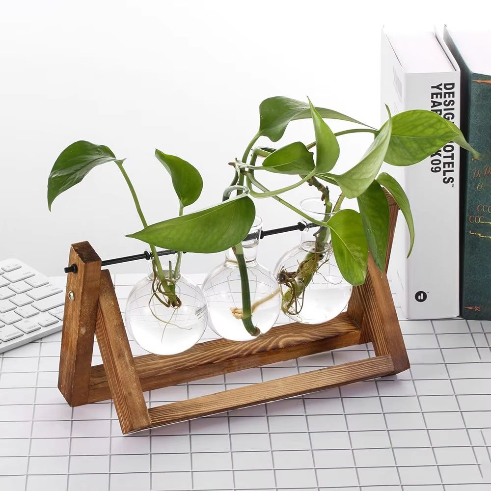 Wooden Frame Hydroponic Glass Vase  Tabletop Terrarium Planter For Home Decoration 2