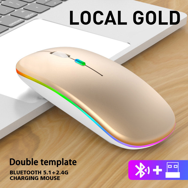 Rechargeable RGB Wireless Mouse, Dual Mode Bluetooth & 2.4GHz, Silent Click Ergonomic for PC iPad Laptop Cell Phone TV