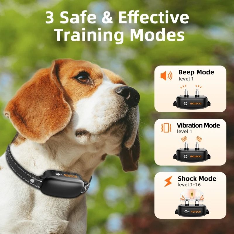 Electric Dog Training Collar With Remote Control 1