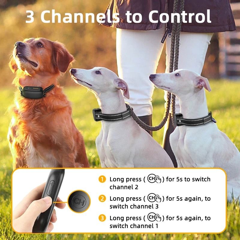 Electric Dog Training Collar With Remote Control 4