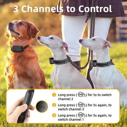 Electric Dog Training Collar With Remote Control 4