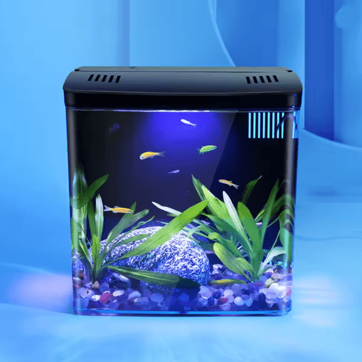 Mini Ecological Fish Tank with Self Circulating Filter for Home and Office