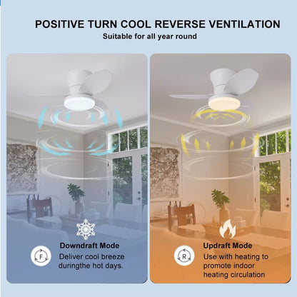 LED Ceiling Fan Light  Modern Nordic Ceiling Mounted Fan With Decorative Lighting For Living Room B 2