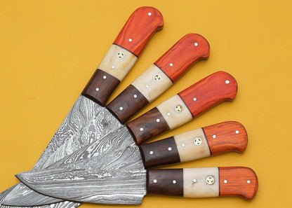 Luxury Handmade Damascus Steel Chef Knife Set  5 Pcs Pakka Handle 3