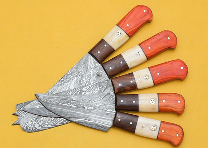 Luxury Handmade Damascus Steel Chef Knife Set  5 Pcs Pakka Handle 1