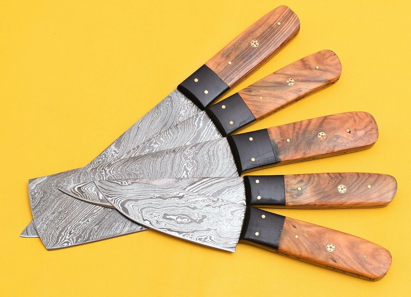 5Piece Damascus Steel Kitchen Chef Knives With Popular Handles 2