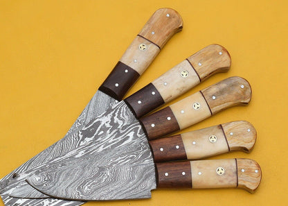 Handmade Damascus Steel 5Piece Kitchen Chef Knife Set With Bone Handle 3
