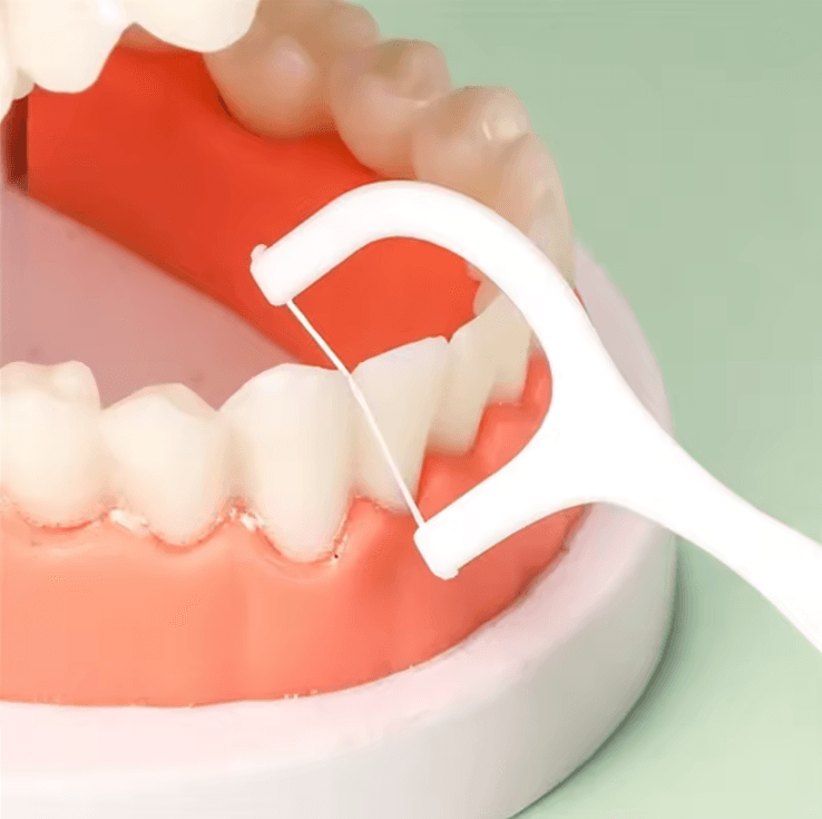 Portable Dental Floss Picks with Toothpick Box for Oral Care
