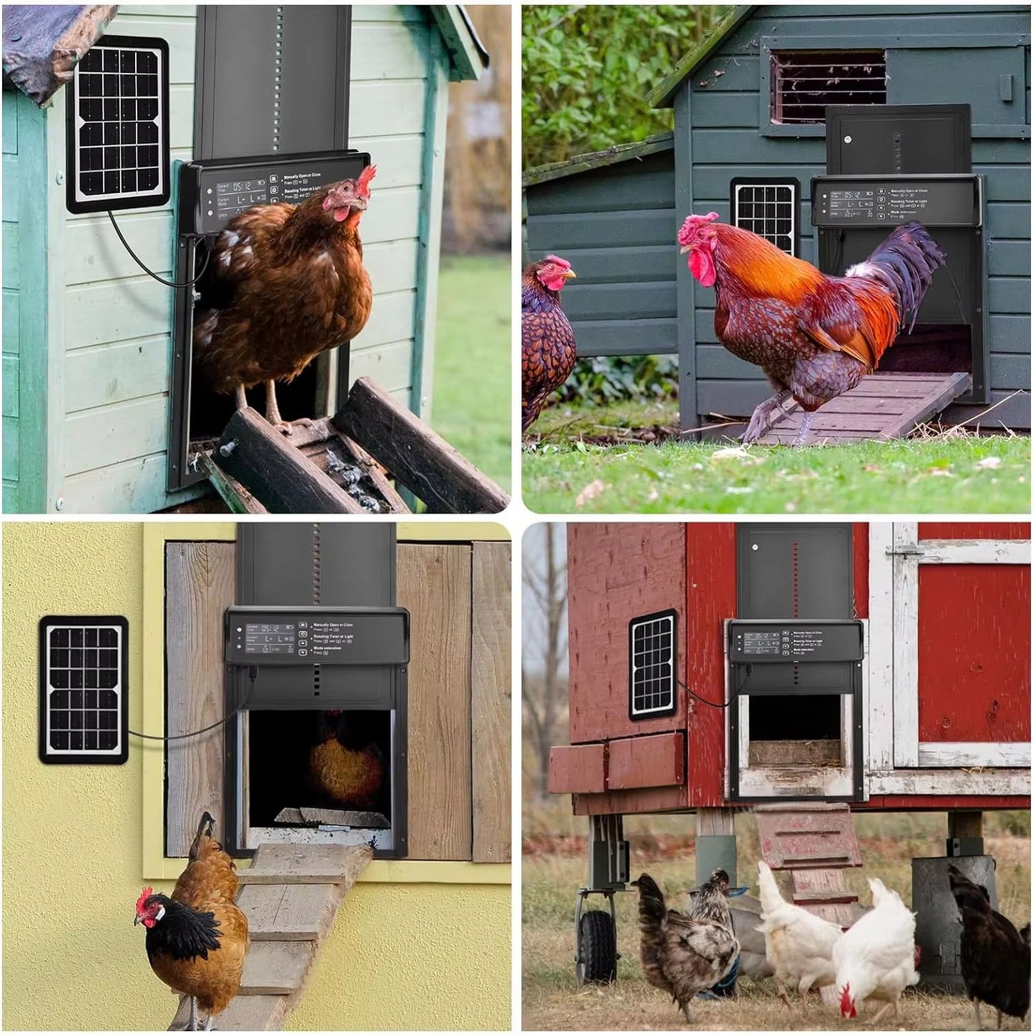 Solar Automatic Chicken Coop Door  Auto Chicken Door With Timer Light Sensor  USB Charging 4
