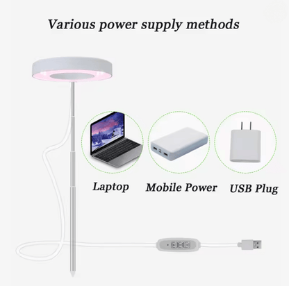 Full Spectrum Indoor LED Grow Light With Adjustable Floor Stand And Four Gear Dimming 4