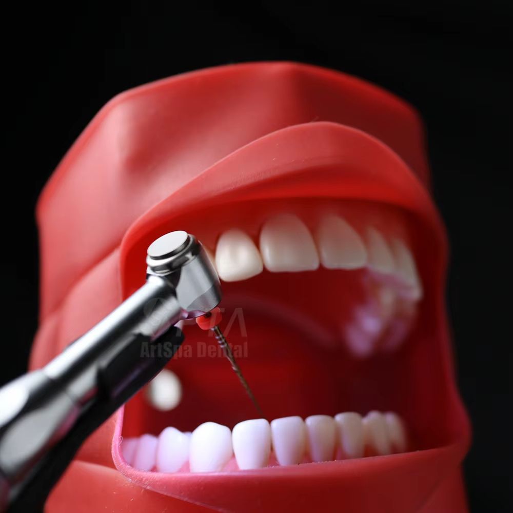 SPTA ProCordless 16 To 1 LED Endo Motor  Cordless Root Canal Handpiece 2
