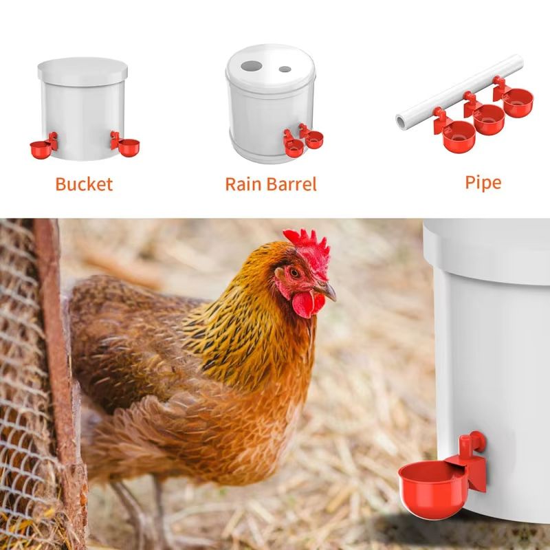 Automatic Poultry Drinking Cups  51020 Pcs Chicken Waterer Bowls For Hens Ducks And Small Birds 3