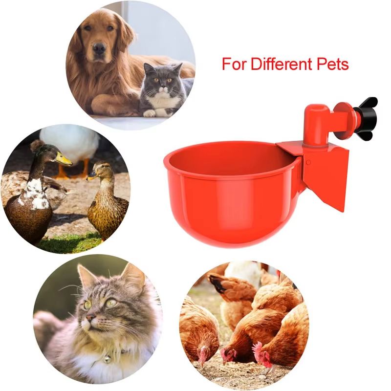 Automatic Poultry Drinking Cups  51020 Pcs Chicken Waterer Bowls For Hens Ducks And Small Birds 5